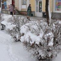 Улицы в снегу :: Татьяна 