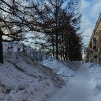 Снег, кругом снег. :: Виктор Иванович Чернюк