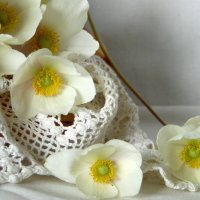 Весенние цветы. :: nadyasilyuk Вознюк