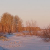 По дороге,в предзакатном. :: сергей 