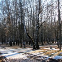 В весеннем парке... :: Татьяна Гнездилова