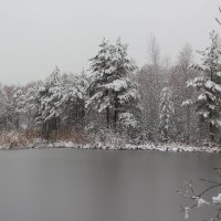 Поздняя осень :: Григорий охотник