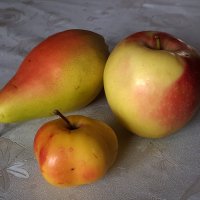 Необычное яблоко :: Наталья (D.Nat@lia)