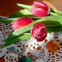 Тюльпаны. :: nadyasilyuk Вознюк