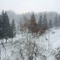 Весенний снегопад . :: Мила Бовкун