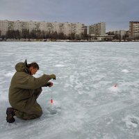 Профессионал :: Андрей Лукьянов