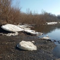 Тают льдины ,выброшенные рекой на берег :: Galina Solovova