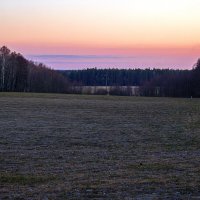 В розовых тонах :: оксана 