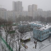 Зима не сдается :: Ольга Довженко