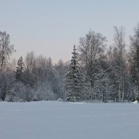 Зимний пейзаж :: Лидия Бусурина