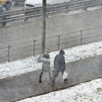 Мартовский снегопад :: Валерий Иванович