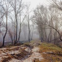 Утром, туман.. :: Юрий Стародубцев