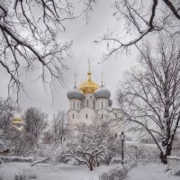 Новодевичий монастырь :: Andrey Lomakin