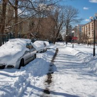 После апрельского снегопада :: Валерий Иванович