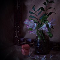 Цветы и ароматы. :: Galina Serebrennikova