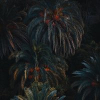 Palm patterns :: Руслан Ахтямов