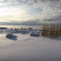 Зима :: Андрей Бобин