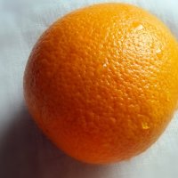 апельсины из Египта :: Galina Solovova