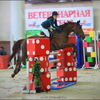 Виват РОССИЯ. 23.04.22...Мария Янголенко и КАРП ДИЕМ ЗЕт :: Виктор Перякин