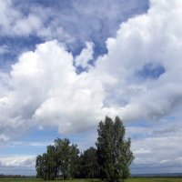 И плывут облака над землёю. :: nadyasilyuk Вознюк