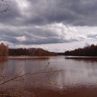 К дождю :: Андрей Зайцев