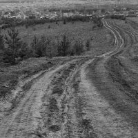 "В края луговые уводит дорога, Уводит в речные края..." :: Liudmila Evgrafova