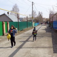 Дорогу в школу через частный сектор :: Андрей Макурин