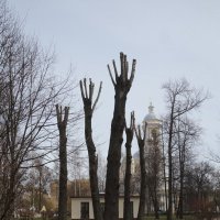 за деревьями - Князь-Владимирский собор :: zavitok *