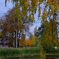Осенний пруд :: Маруся Маруся