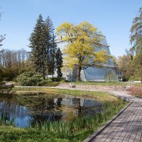 Рижский ботанический сад. :: Геннадий Порохов