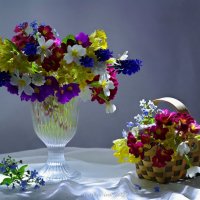 Весення радуга первоцветов :: Ирина Баскакова
