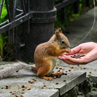 Успел, :: Анатолий 