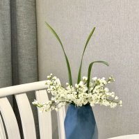 Просто ваза) просто цветы) :: Альбина 