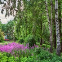 В последний день весны :: Игорь Сарапулов