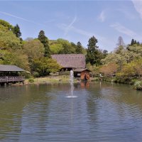 Нагоя Япония Ботанический сад Higashiyama :: wea *