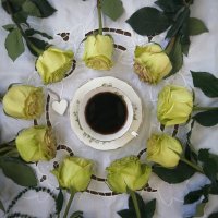 Не розовые розы :: людмила дзюба 