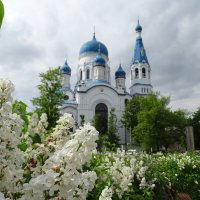 Покровский собор в Гатчине :: Anna-Sabina Anna-Sabina