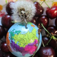 Натюрморт "Планета-одуванчик в черешневом раю" :: Alex Aro Aro Алексей Арошенко