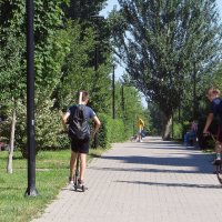 Аксай. Утренний бульвар :: Татьяна Смоляниченко