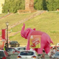По улицам слона водили... :: Raduzka (Надежда Веркина)