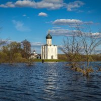 Церковь Покрова на Нерли весна 2022. :: Vladimir Karpov