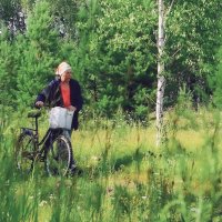 Велосипед для деревни - это не роскошь :: Сергей Царёв