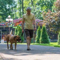 Сосед гуляет со своей собакой. :: Анатолий. Chesnavik.