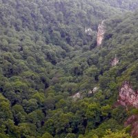 В горах Кавказа :: Вера Щукина