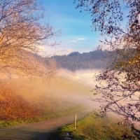 misty autumn :: Elena Wymann