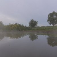 пасмурное и туманное утро :: Виталий Емельянов
