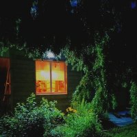 Ночь, сад :: Георгий Ковалев