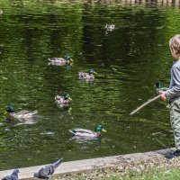 Молодой человек познаёт окружающую природу:-) :: Стальбаум Юрий 