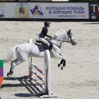 На белом коне. :: Александр Сергеевич 