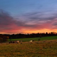 autumn evening :: Elena Wymann